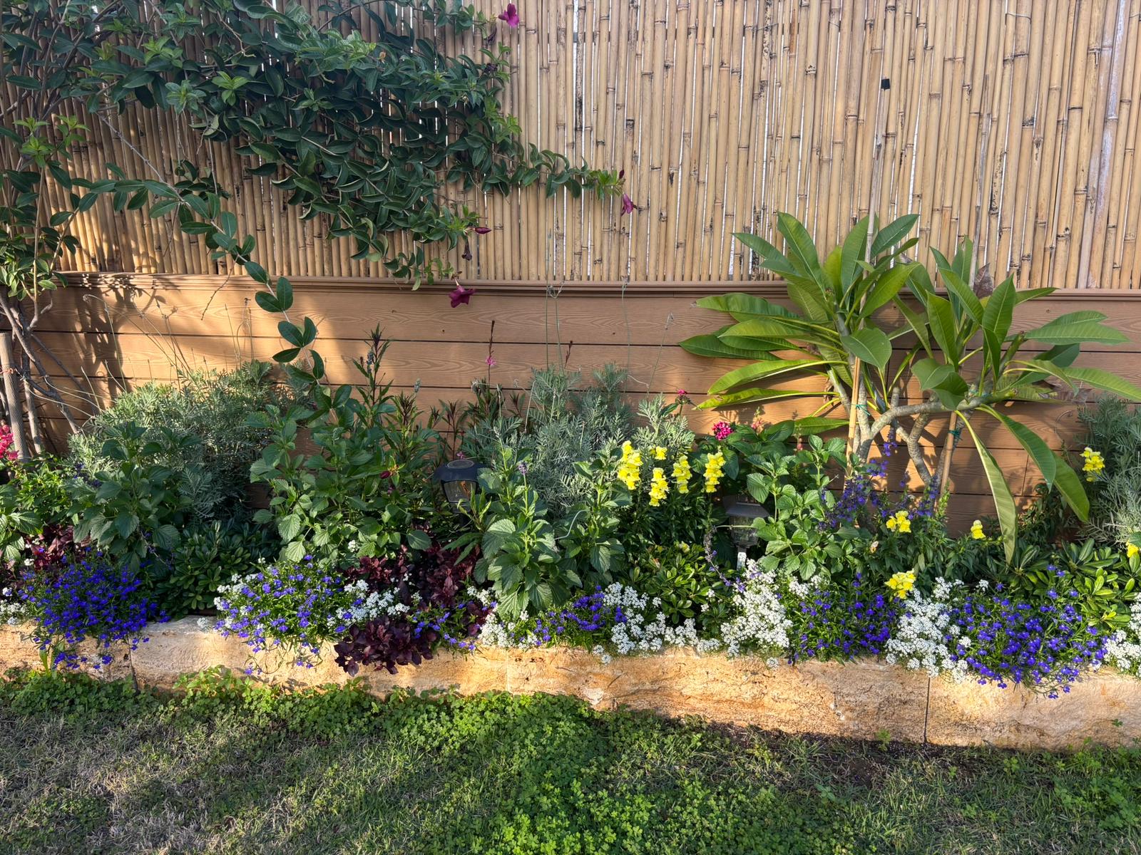 פרויקט קריית עקרון חלק 3